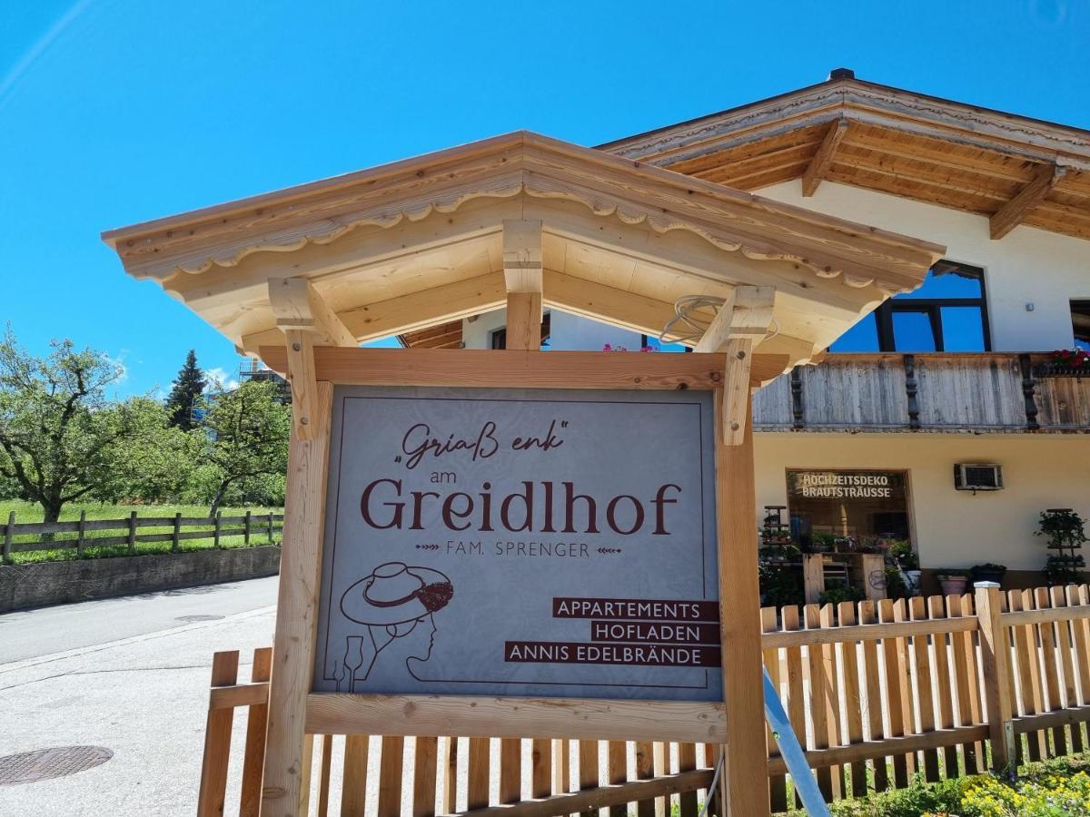Greidlhof Alpstyle Apartments Fügen Dış mekan fotoğraf